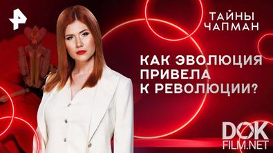 Тайны Чапман. Как эволюция привела к революции? (15.05.2025)