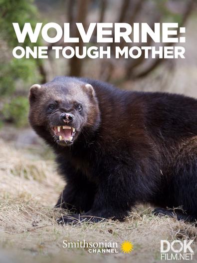 Росомаха: нелегкая материнская доля/ Wolverine - One Tough Mother (2021)