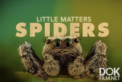 Маленькие, но значительные: Пауки/ Little Matters: Spiders (2014)