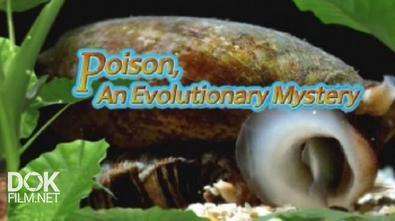 Яд. Достижение Эволюции / Poison, An Evolutionary Mystery (2015)