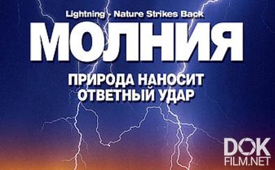 Молния. Природа наносит ответный удар/ Lightning. Nature Strikes Back (2004)