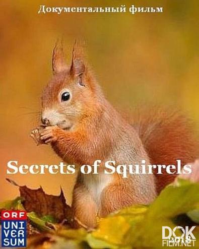 Беличьи секреты/ Secrets of Squirrels (2018)