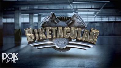 Легендарные Мотоциклы / Biketacular (2016)