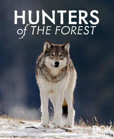 Лесные охотники/ Hunters of the Forest (2021)
