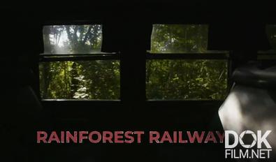 Секреты железных дорог/ Secrets of the Railways (2019)