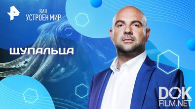Как устроен мир с Тимофеем Баженовым. Щупальца (20.06.2025)