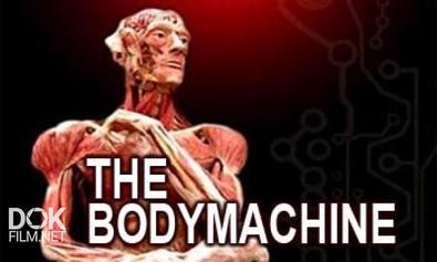 Механизмы Организма / The Body Machine / The Bodymachine (2008)