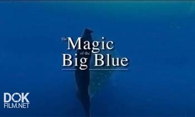 Чудеса Голубой Планеты. Семь Континентов / The Magic Of The Big Blue. Seven Continents (2011)