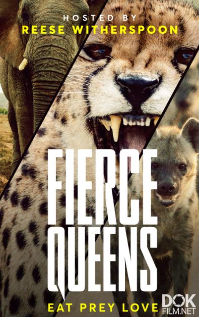 Свирепые королевы/ Fierce Queens (2020)