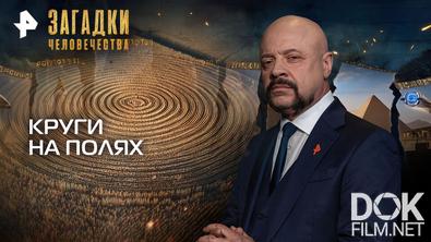 Загадки человечества с Олегом Шишкиным. Круги на полях (03.02.2026)