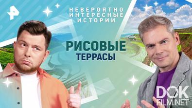 Невероятно интересные истории. Рисовые террасы (29.04.2025)