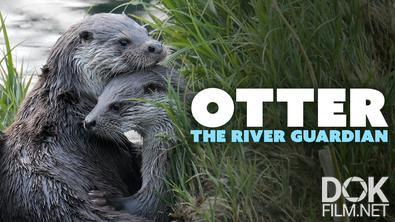 Выдра - страж реки/ Otter: The River Guardian (2026)