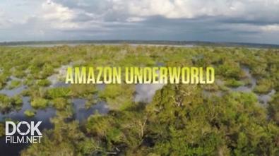 Скрытый Мир Амазонки / Amazon Underworld (2016)