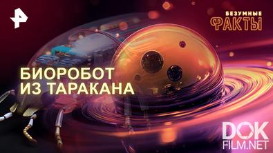 Безумные факты. Биоробот из таракана (2026)