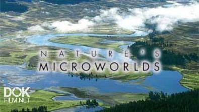 Нетронутые Уголки Дикой Природы / Nature\'S Microworlds (2012)