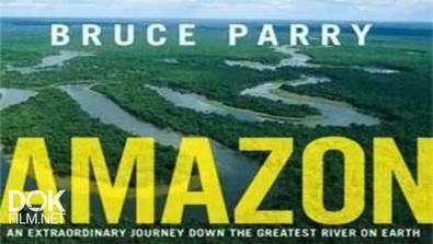 Амазонка С Брюсом Перри / Amazon With Bruce Parry (2008)