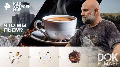 Как устроен мир с Тимофеем Баженовым. Что мы пьем? (26.01.2026)