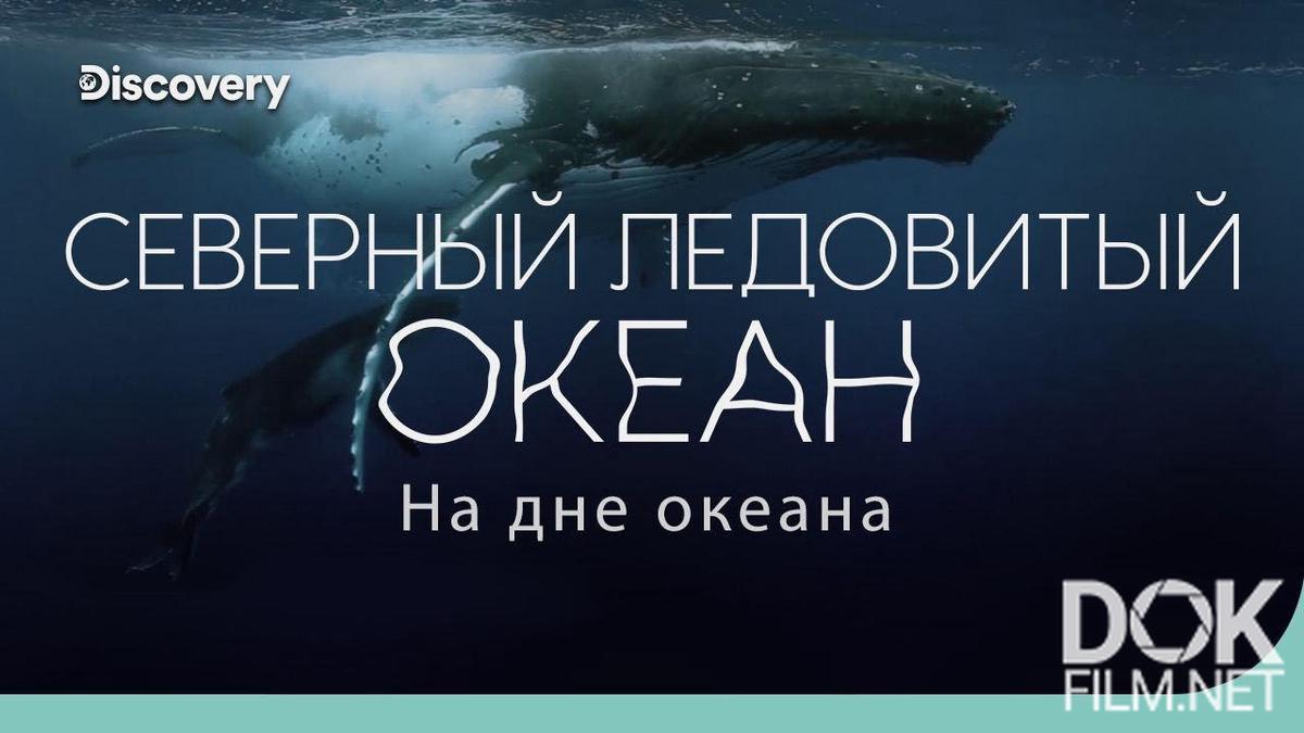 На дне океана. Северный Ледовитый океан: полярная бездна