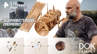 Как устроен мир с Тимофеем Баженовым. Здравствуй, дерево (06.08.2026)