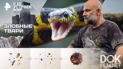 Как устроен мир с Тимофеем Баженовым. Злобные твари (28.10.2025)