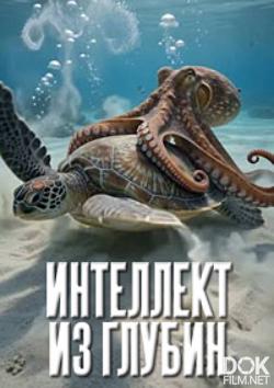 Интеллект из глубин/ Ocean Intelligence (2025)