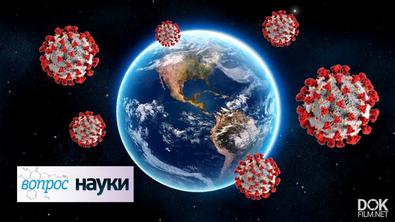 Вопрос Науки. Год С Covid-19 (2020)