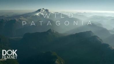 Дикая Патагония / Wild Patagonia (2015)