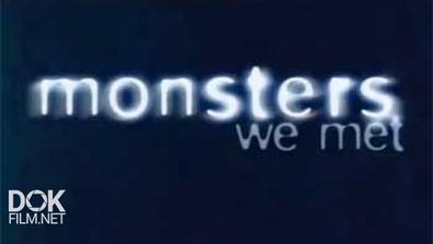 Чудовища, С Которыми Мы Встретились / Monsters We Met (2003)