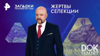 Загадки человечества с Олегом Шишкиным. Жертвы селекции (11.12.2024)