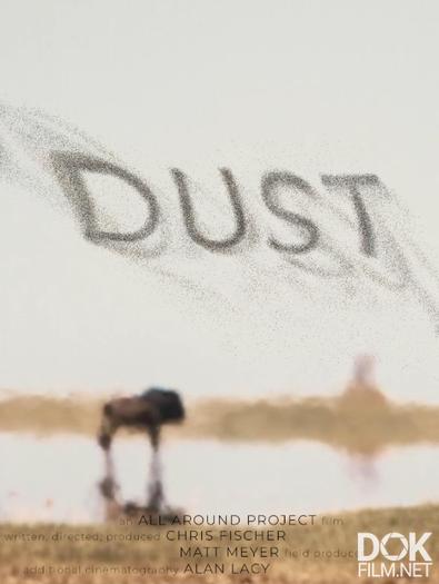 Пыль/ Dust (2022)