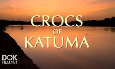 Крокодилы Катумы / Crocs Of Katuma (2010)
