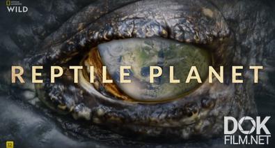 Планета рептилий/ Reptile Planet (2025)