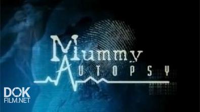 История Мумий / Mummy Autopsy (2004-2009)