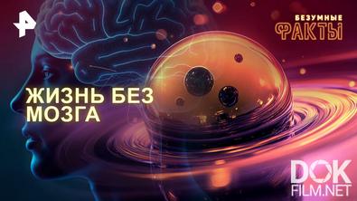 Безумные факты. Жизнь без мозга (2025)