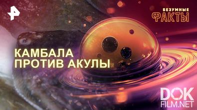 Безумные факты. Камбала против акулы (2025)