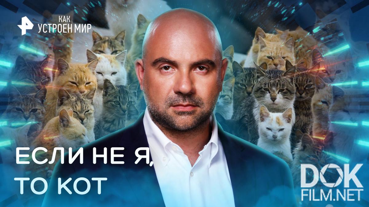 Как устроен мир с Тимофеем Баженовым. Если не я, то кот (16.01.2023)