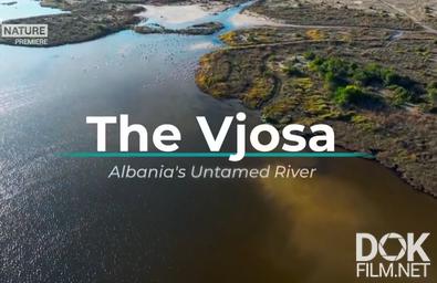 Вьоса. Неукрощенная река Албании/ The Vjosa. Albania's Untamed River (2026)