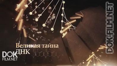 Великая Тайна Днк (2014)