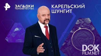 Загадки человечества с Олегом Шишкиным. Карельский шунгит (05.02.2025)