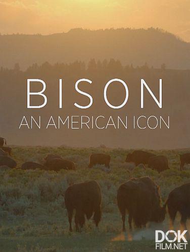 Бизон - Американский идол/ Bison: An American Icon (2022)