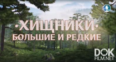 Хищники. Большие и редкие (2021)