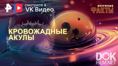 Безумные факты. Кровожадные акулы (2025)