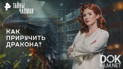 Тайны Чапман. Как приручить дракона? (17.08.2026)