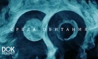 Среда Обитания. Война Жиров (2013)