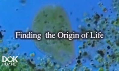 Неразгаданный Мир. Как Начиналась Жизнь / Science Exposed. Finding The Origin Of Life (2011)