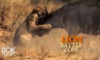 Война Львов / Lion Battle Zone (2011)