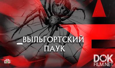 Следствие вели... Выльгортский паук (2025)
