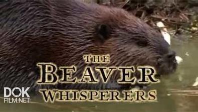 Тайная Жизнь Бобров / Заклинатели Бобров / The Beaver Whisperers (2013)