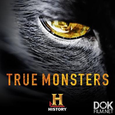 Реальные монстры/ True Monsters (2015)