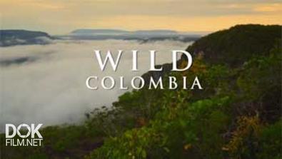 Дикая Колумбия / Wild Colombia (2014)